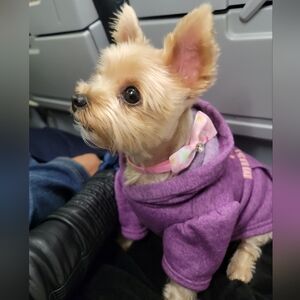 Meet your Posher, Lyna